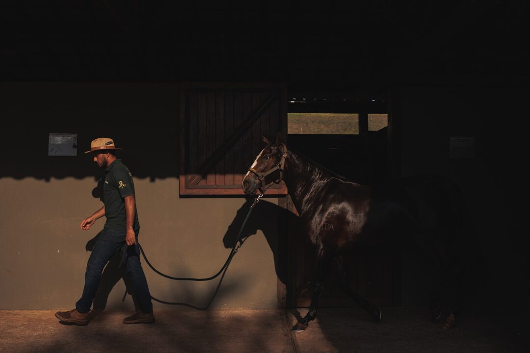 Haras do Passo - Condomínio